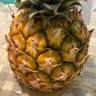 パイナップル（鳳梨） (Ananas comosus)-i